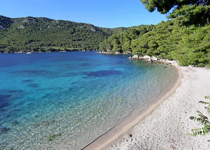 By The Sea Zuljana, Peljesac - 3163 3*